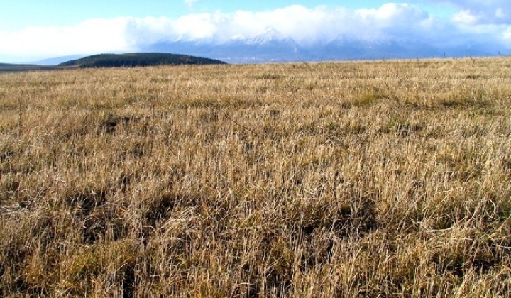 Zobraziť fotografiu