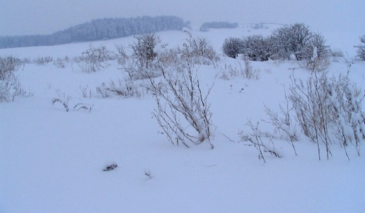 Zobraziť fotografiu