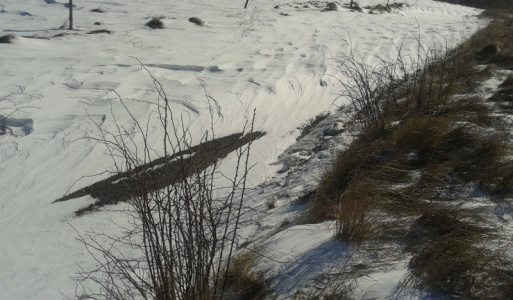 Abrahámovce Pikovce kalamita 15.3.2013 