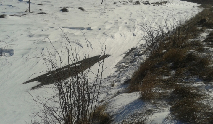 Abrahámovce Pikovce kalamita 15.3.2013 