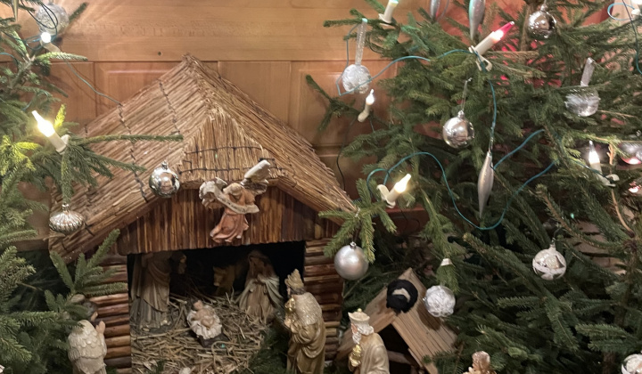 Zobraziť fotografiu